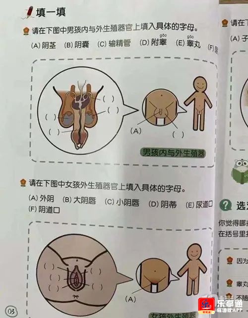 小孩子禁止看的东西图片